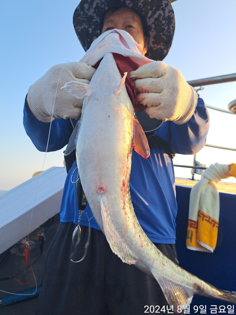 성복호 왕대구 쿨러조황